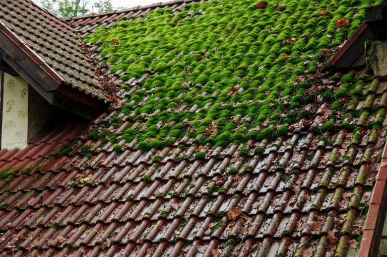 Rénovation de toiture à Louvroil : astuces de professionnels